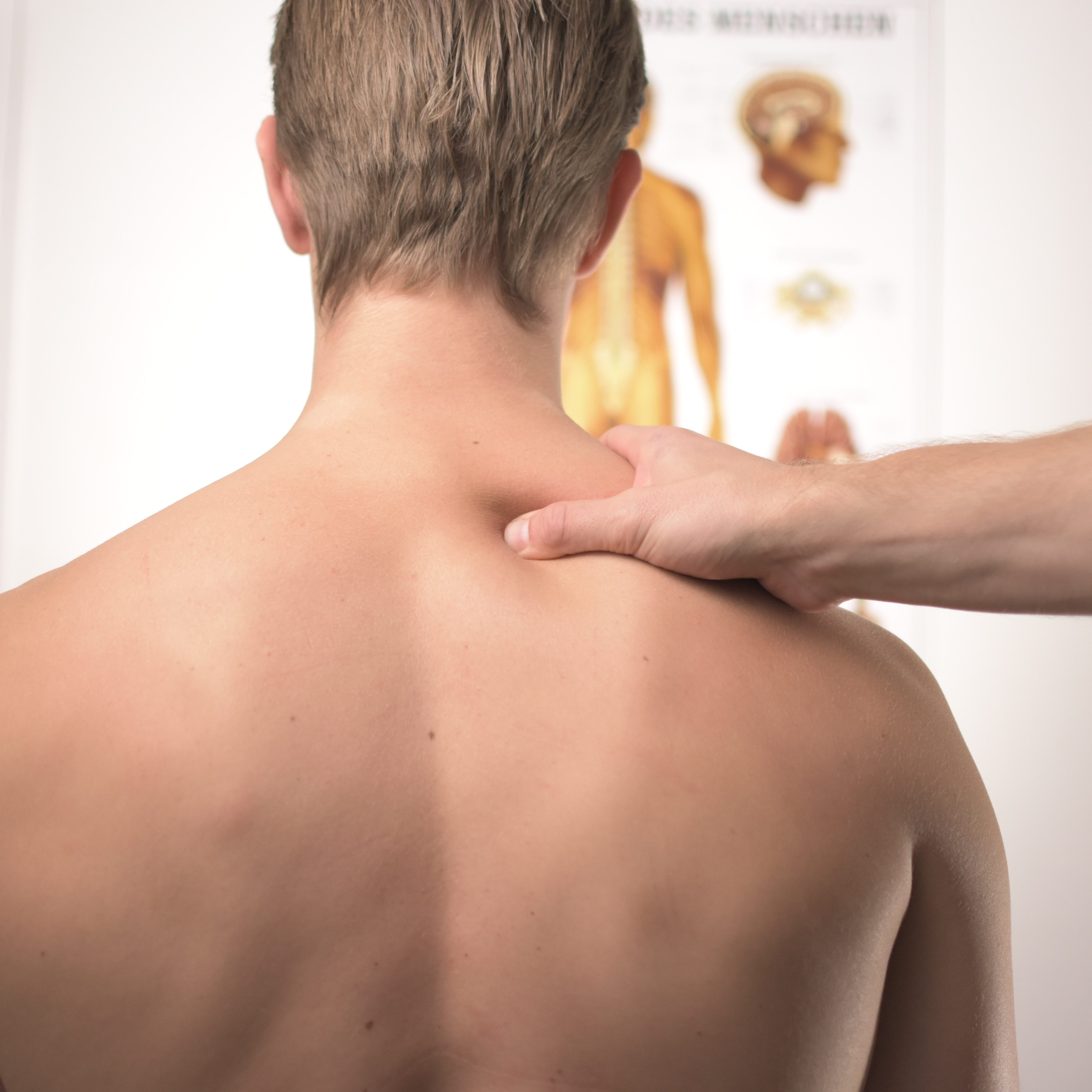 Contraturas Musculares